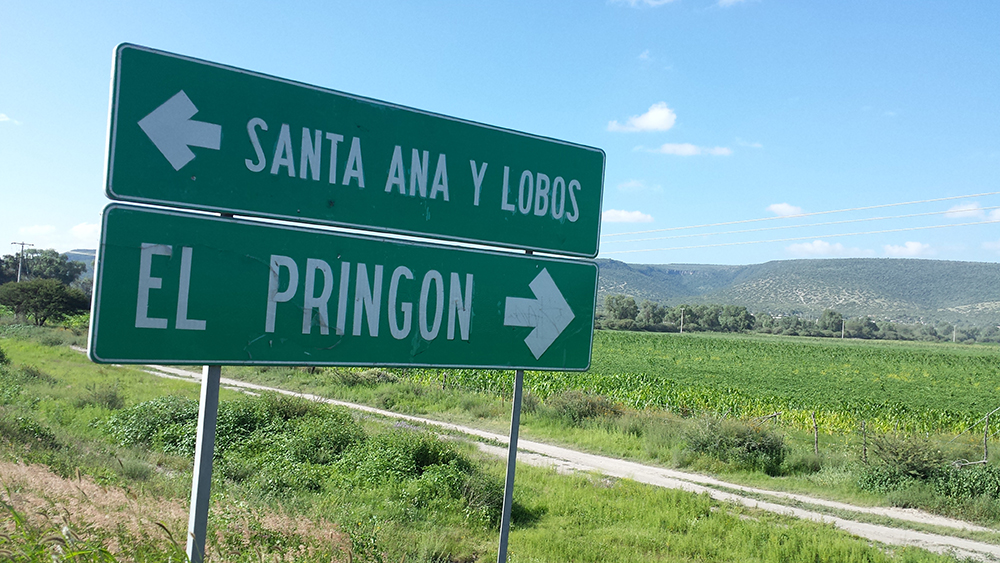 Ejido Santa Ana y Lobos