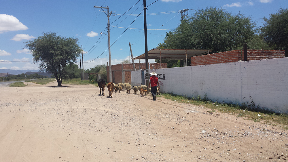 Ejido Estancia de San Miguel