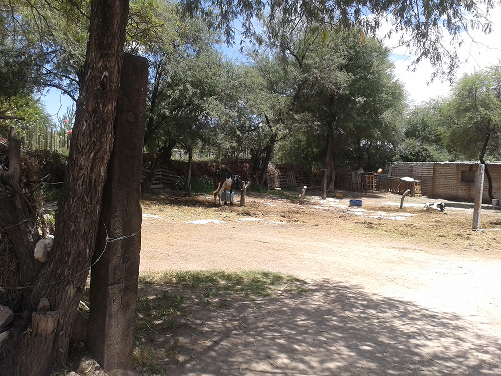 Ejido Estancia de San Miguel