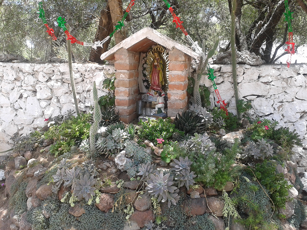 Ejido Estancia de San Miguel