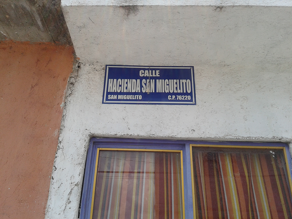 León, Villa Hidalgo