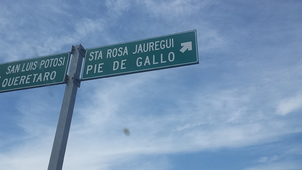 León, Villa Hidalgo