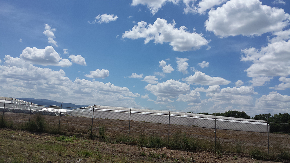 Ejido Estancia del Rosario