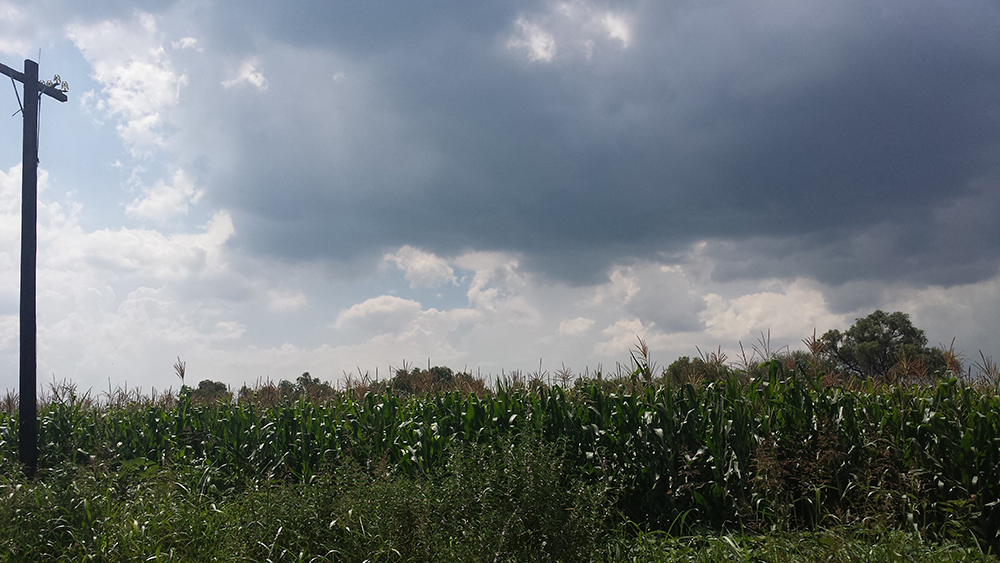 Ejido San Pedro Tenando El Viejo